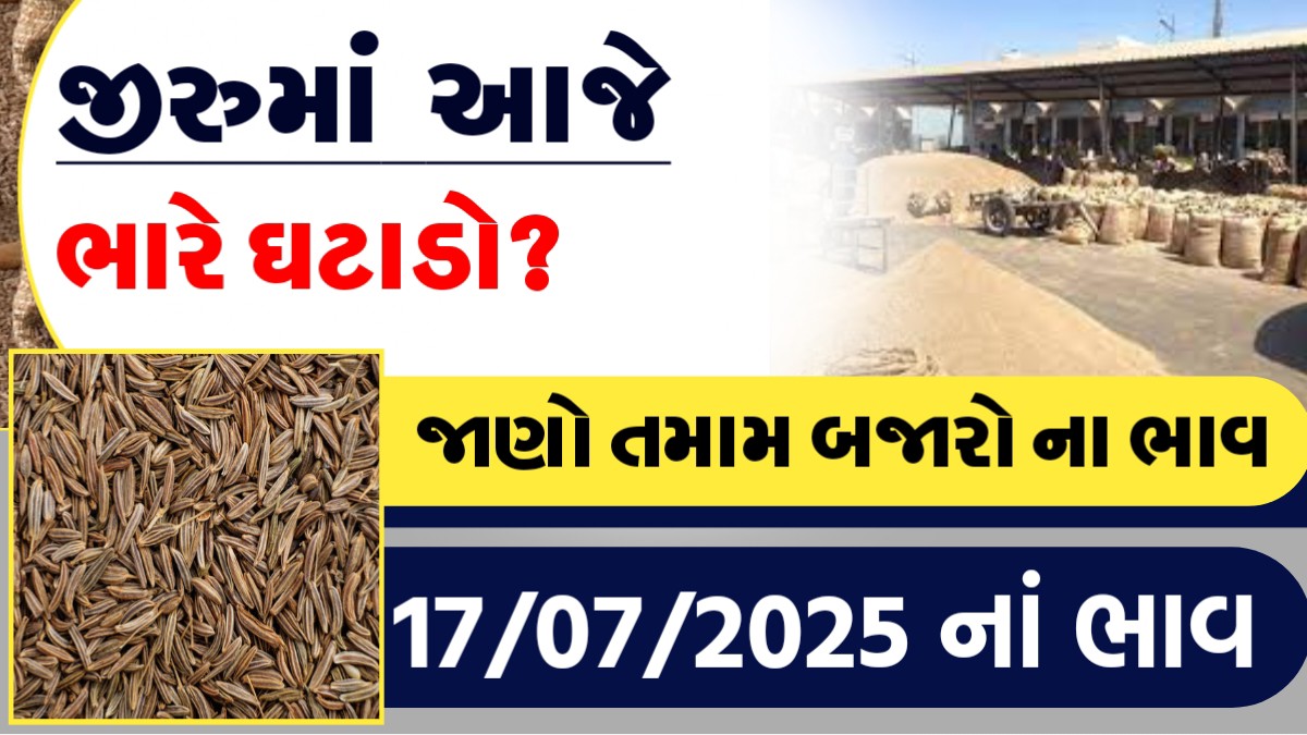 આજે જીરુનાં ભાવમાં ભારે ઘટાડો?, જાણો આજના તમામ બજારોના ભાવ