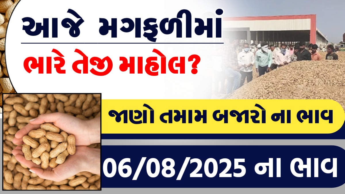 આજે  મગફળીમાં ભારે તેજી, જાણો આજના તમામ બજારોના ભાવ