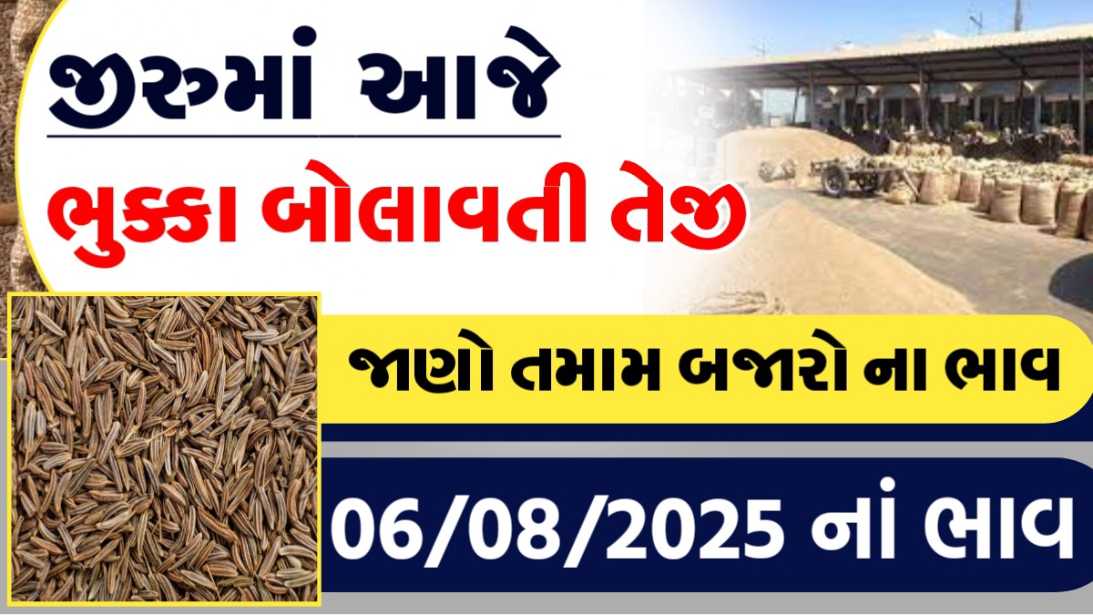 આજે જીરુમાં ભુક્કા બોલાવતી તેજી?, જાણો આજના તમામ બજારોના ભાવ