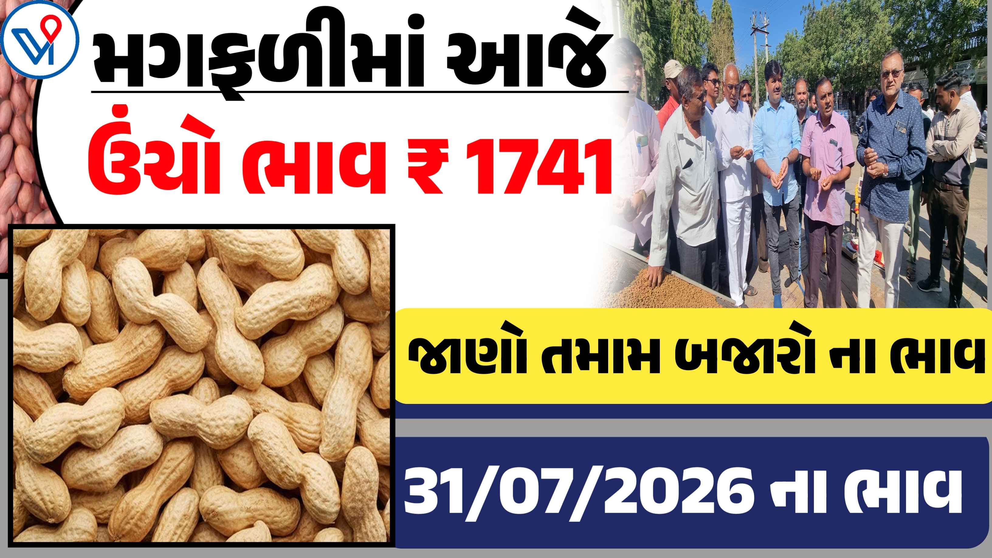 આજે મગફળીના ભાવમાં મોટો ઉછાળો? જુઓ 31 જુલાઈ 2026ના તમામ APMC ના બજાર ભાવ