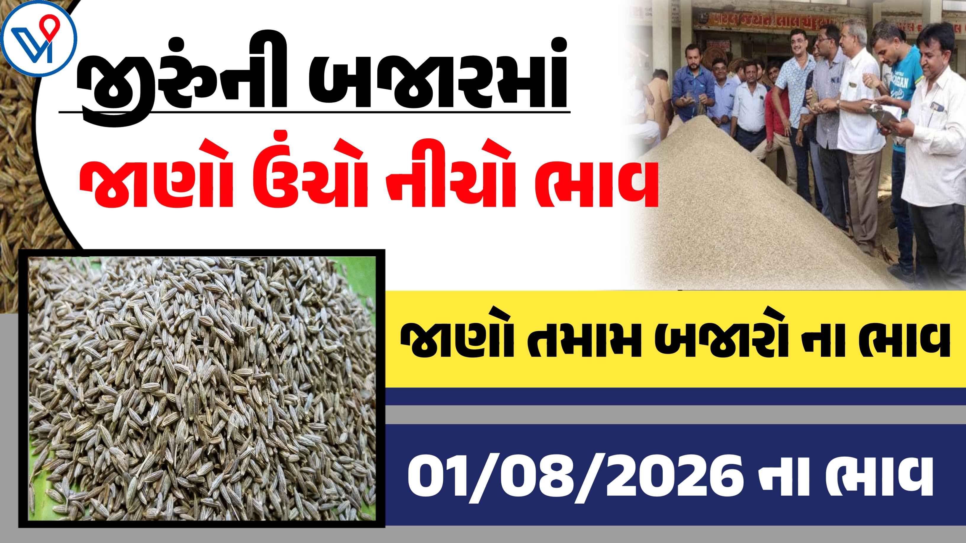 જીરુંના બજાર ભાવ: ગોંડલ, ઉંઝા, ગુજરાત| આજે  જીરુંનો ઉંચો ભાવ 4440 રૂપિયા બોલાયો