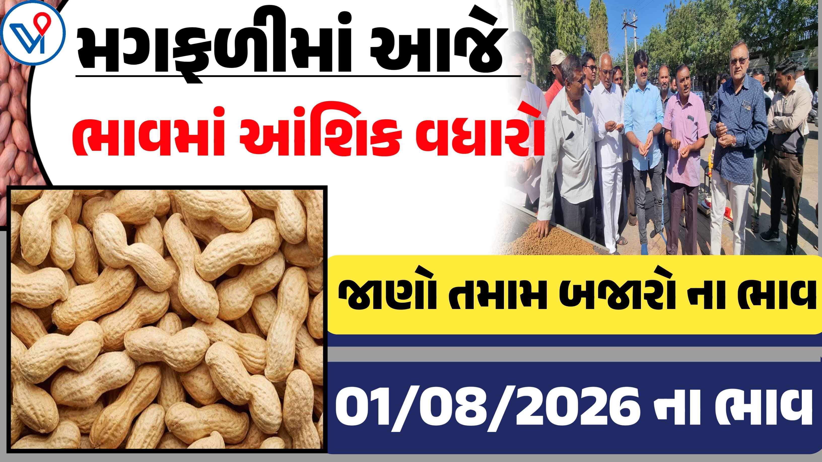 મગફળીના બજાર ભાવ: ગોંડલ, રાજકોટ, ગુજરાત| આજના APMC ભાવ