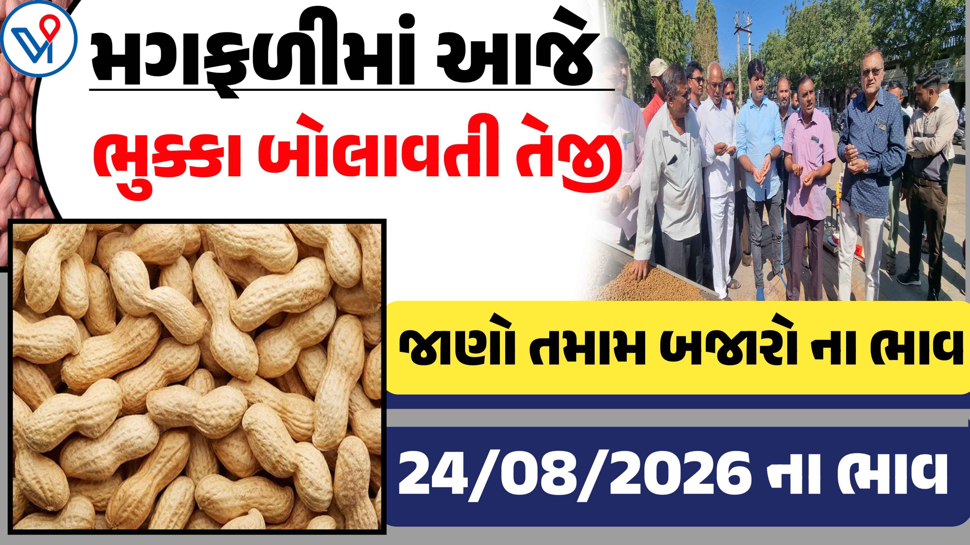 મગફળીના બજાર ભાવ| Today Groundnut price: મગફળીમાં આજે જોરદાર તેજીનો માહોલ